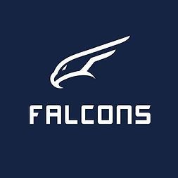 ANDY BAY FALCONS BASKETBALL CLUB